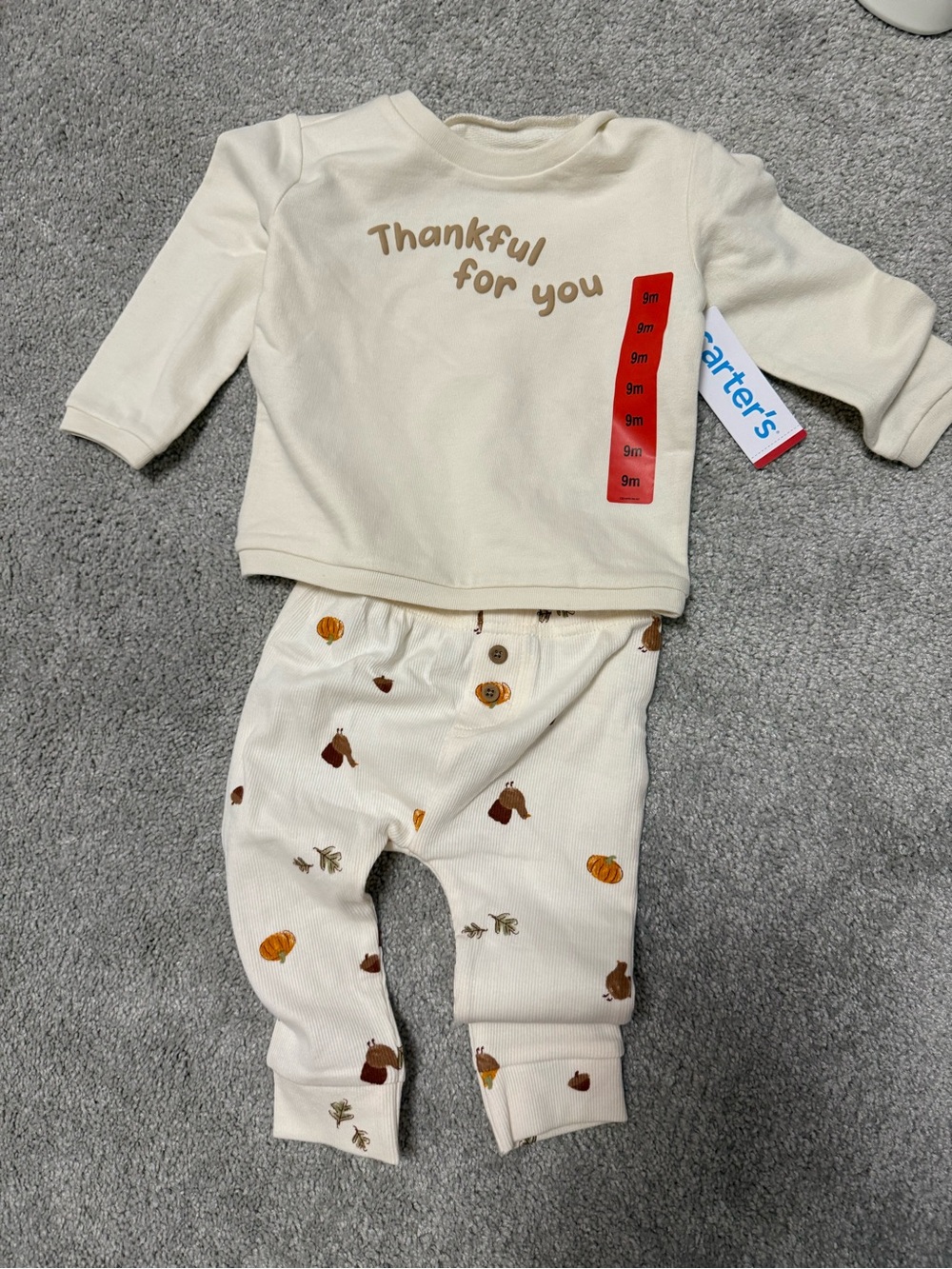 Carter's Long sleeve top and matching pants 9 months brand new with tags
